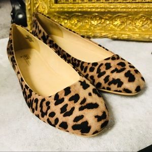 Flash sale! NIB cheetah rounded toe flats size 8.5